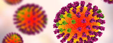 Flu Season by Michael Montgomery